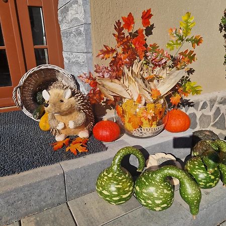 Sepsi Relax Sfântu Gheorghe Exterior foto