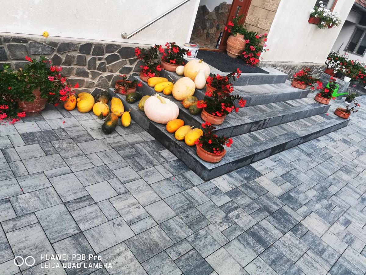 Sepsi Relax Sfântu Gheorghe Exterior foto