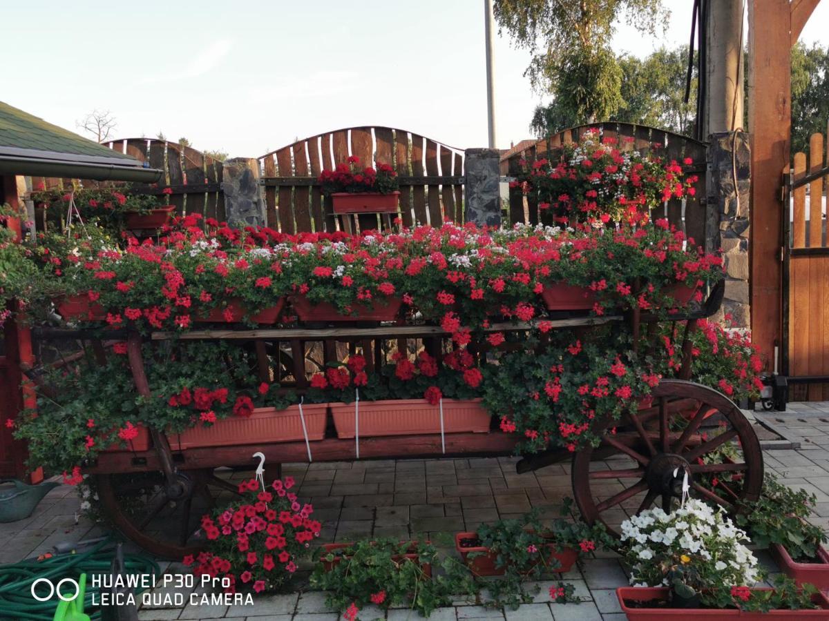 Sepsi Relax Sfântu Gheorghe Exterior foto