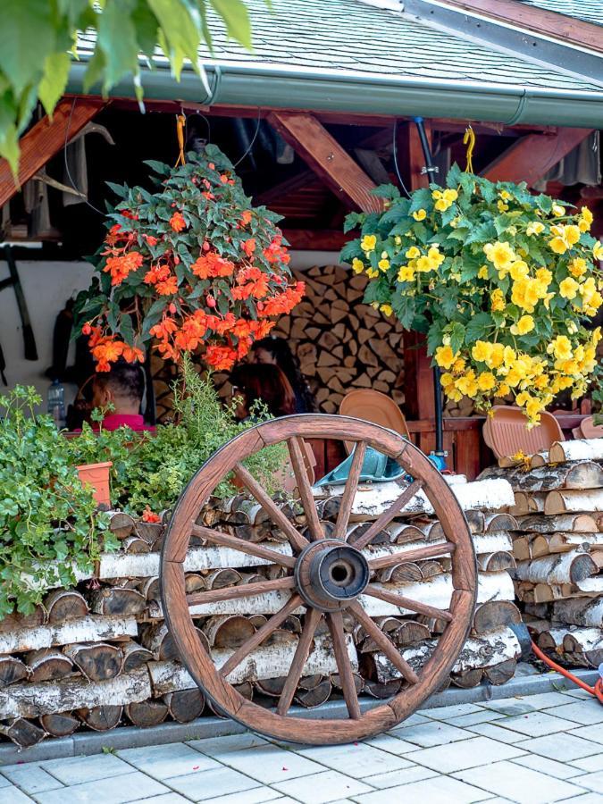 Sepsi Relax Sfântu Gheorghe Exterior foto