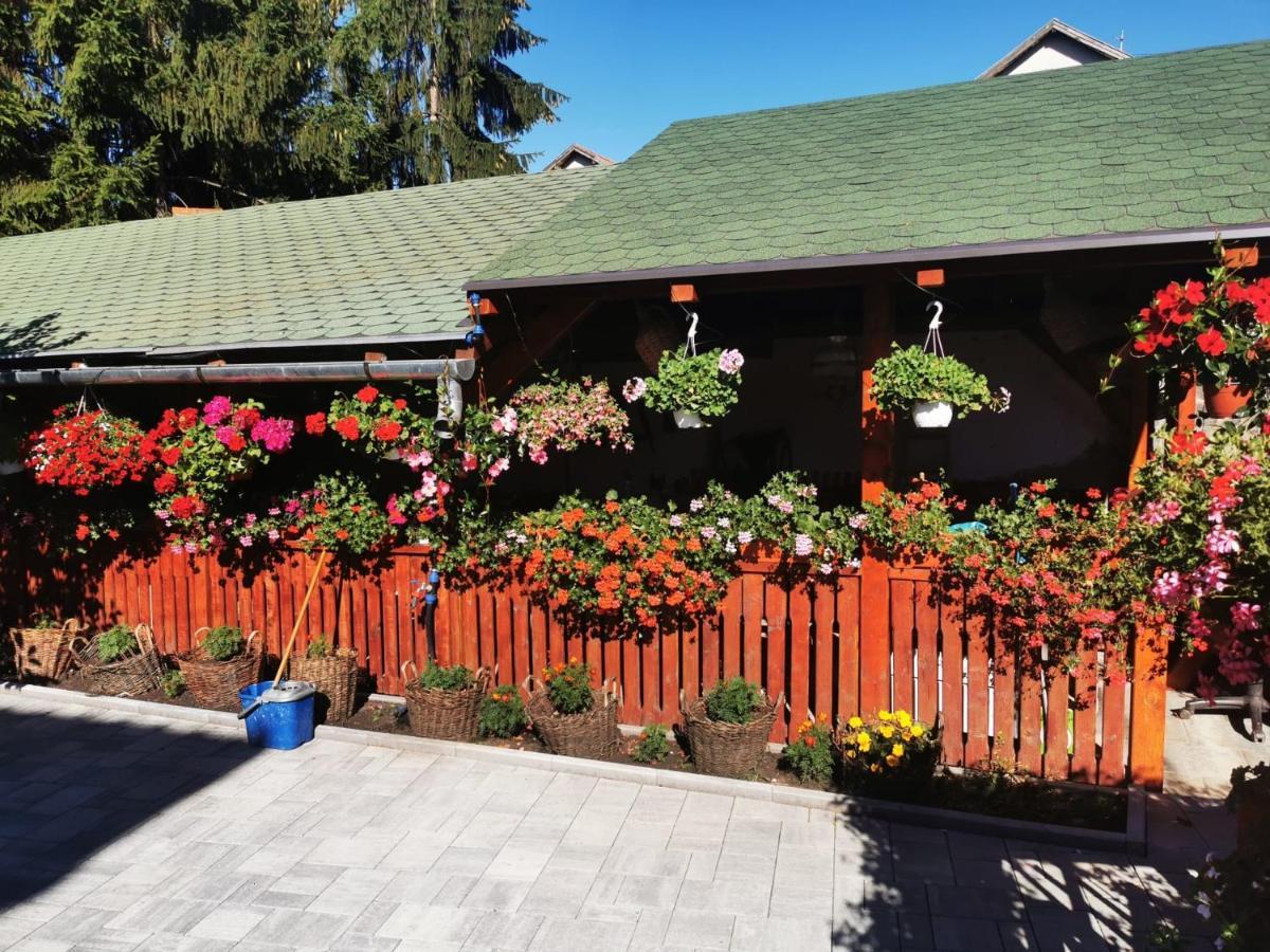 Sepsi Relax Sfântu Gheorghe Exterior foto