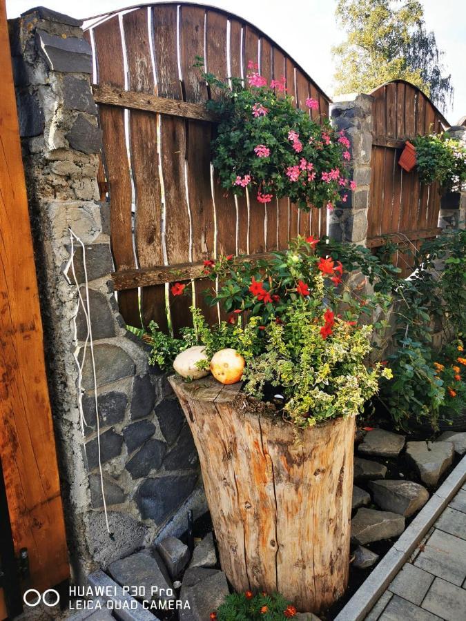 Sepsi Relax Sfântu Gheorghe Exterior foto