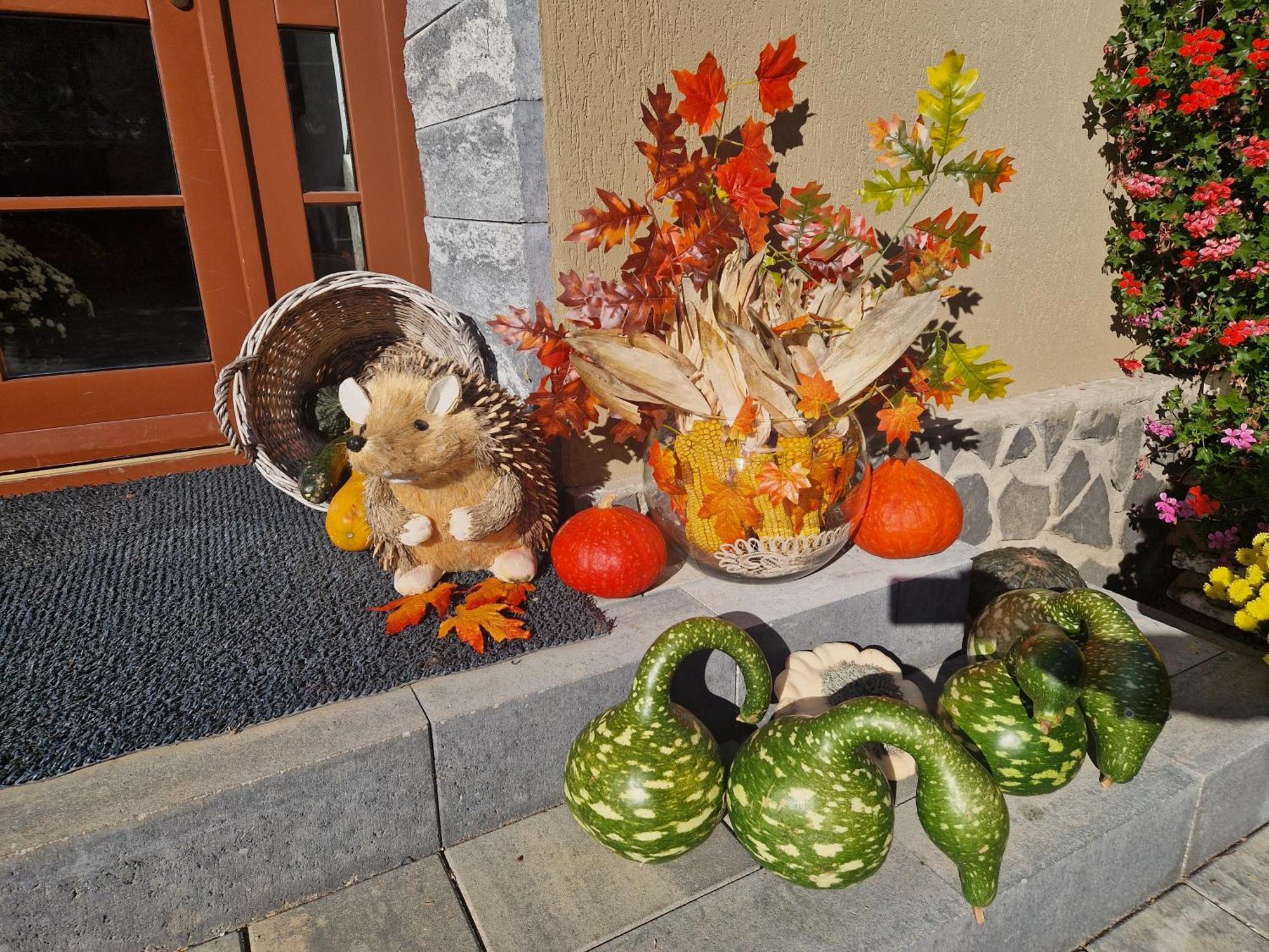 Sepsi Relax Sfântu Gheorghe Exterior foto