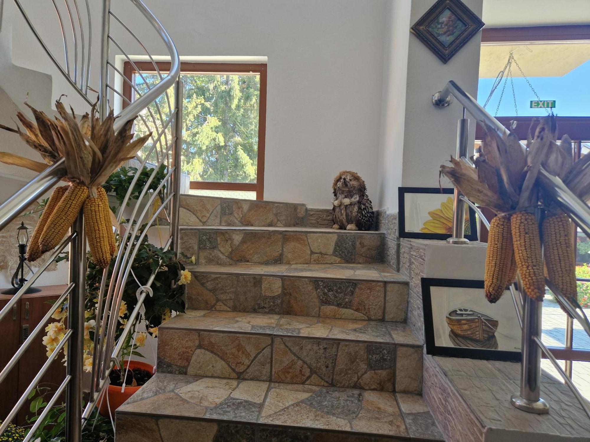 Sepsi Relax Sfântu Gheorghe Exterior foto